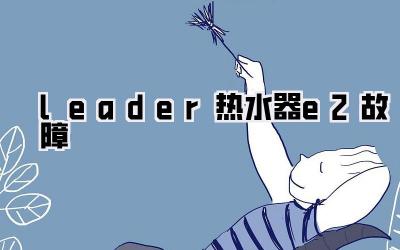 leader热水器e2故障