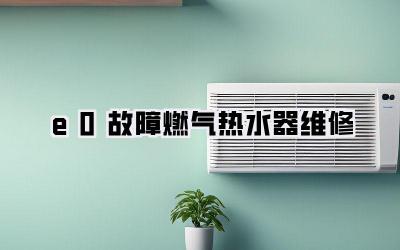 e0故障燃气热水器维修