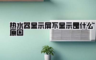 热水器显示屏不显示是什么原因