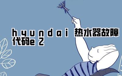 hyundai热水器故障代码e2